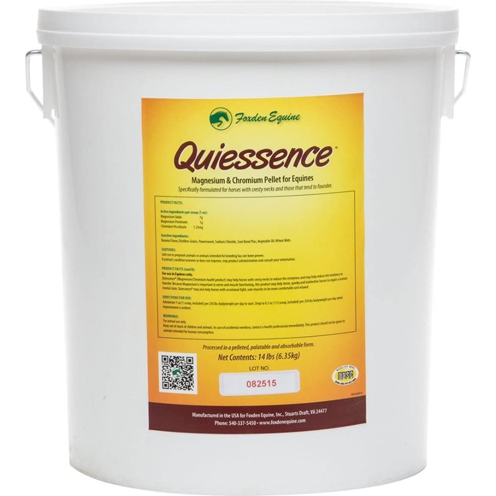 Horse Supplements